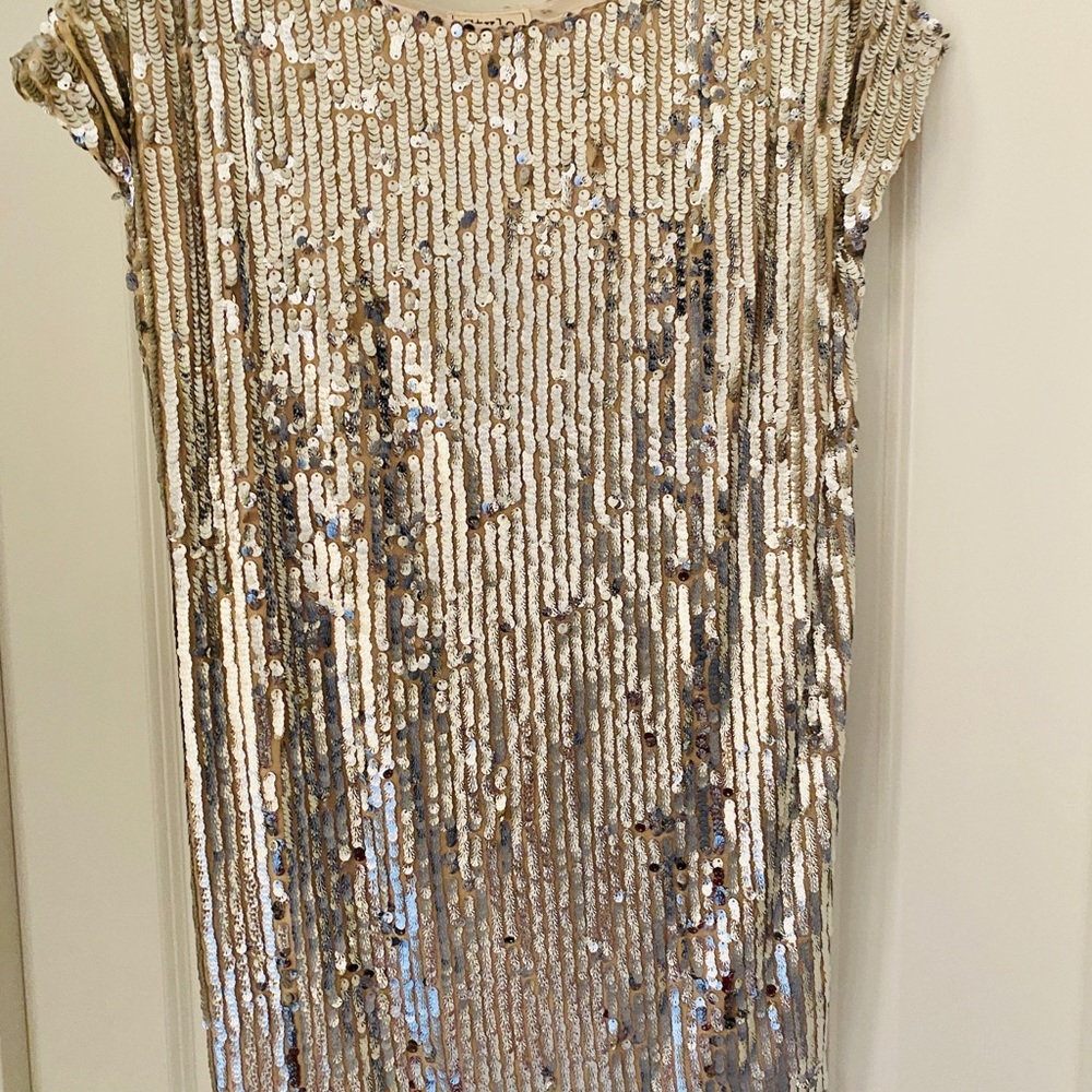 NWT Sequin Dress Size M